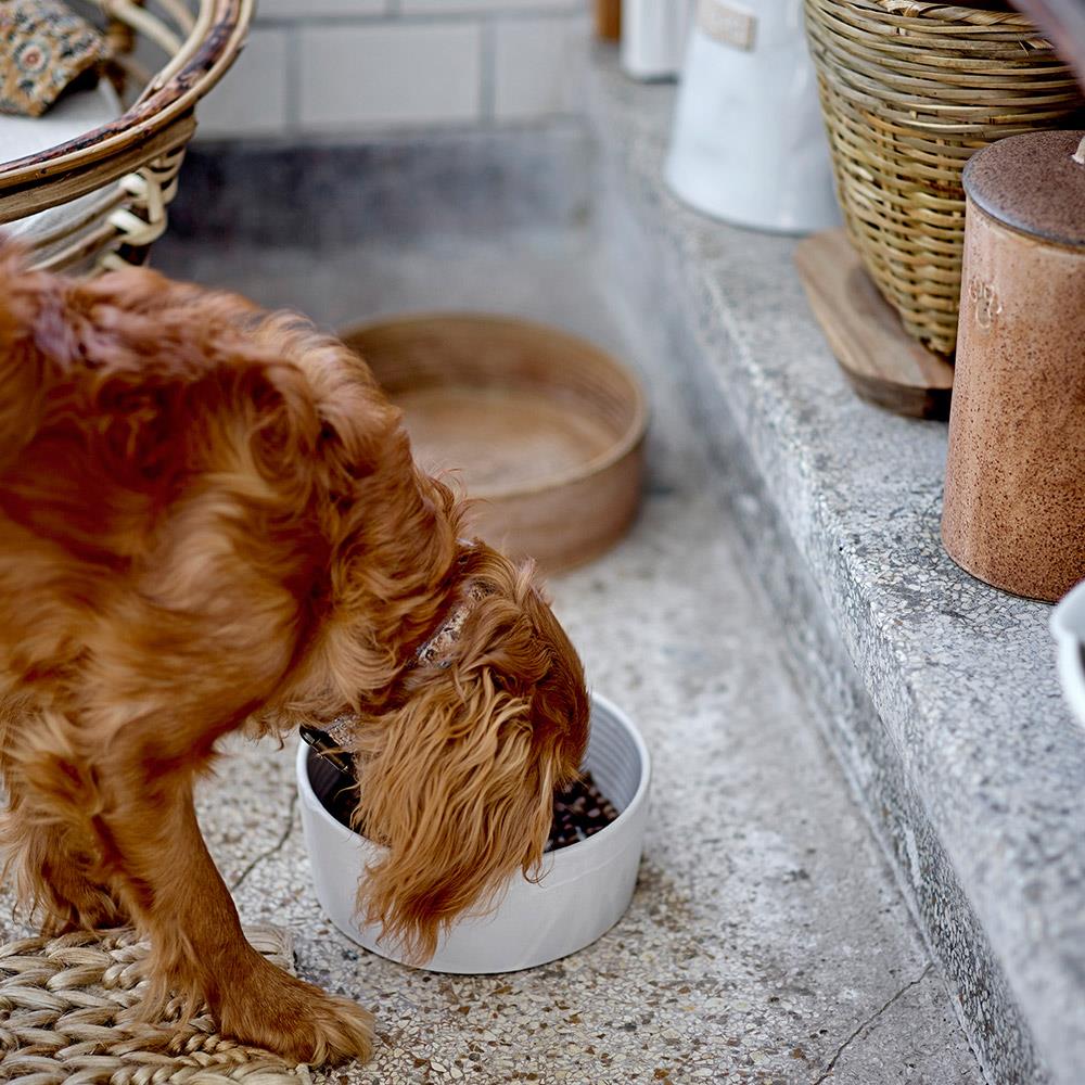 Bloomingville Buddy Pet Gefäß mit Deckel, Braun, Steingut, 1,5 L, für Tierfutter, spülmaschinengeeignet