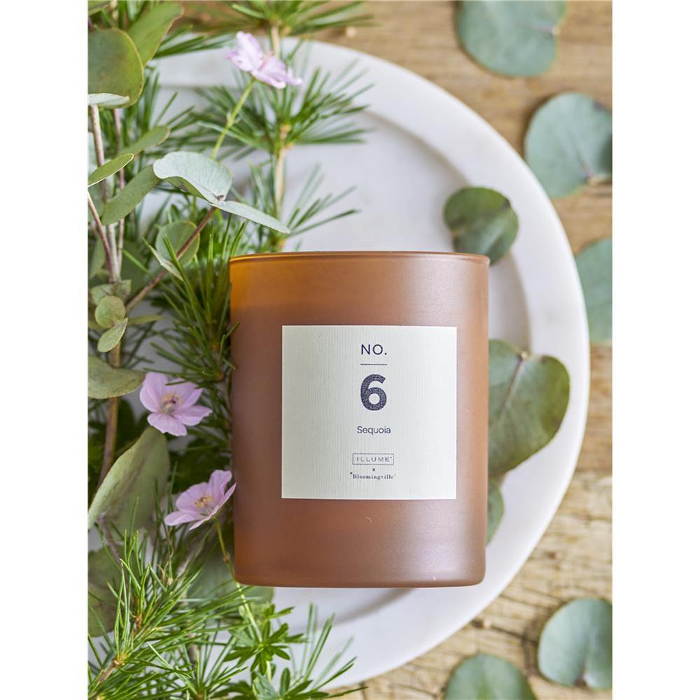 Bloomingville NO. 6 - Sequoia Duftkerze, Braun, Natürliches Wachs, 210 G. - 50 Hour - Gift box - D8xH10 cm