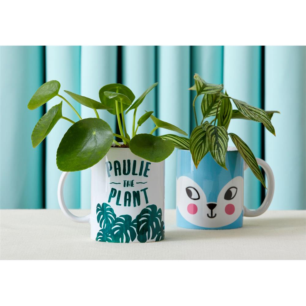 Cricut Mug Press - Heizpresse für Tassen, personalisierte Geschenke selber gestalten