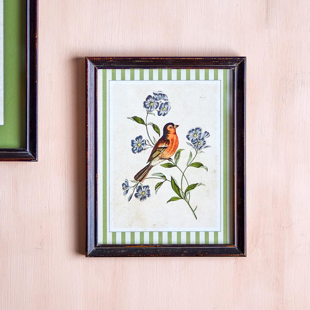 Bloomingville Renji Bild mit Rahmen bunt - Wanddeko Vogelmotiv Vintage Illustration für Wohnzimmer