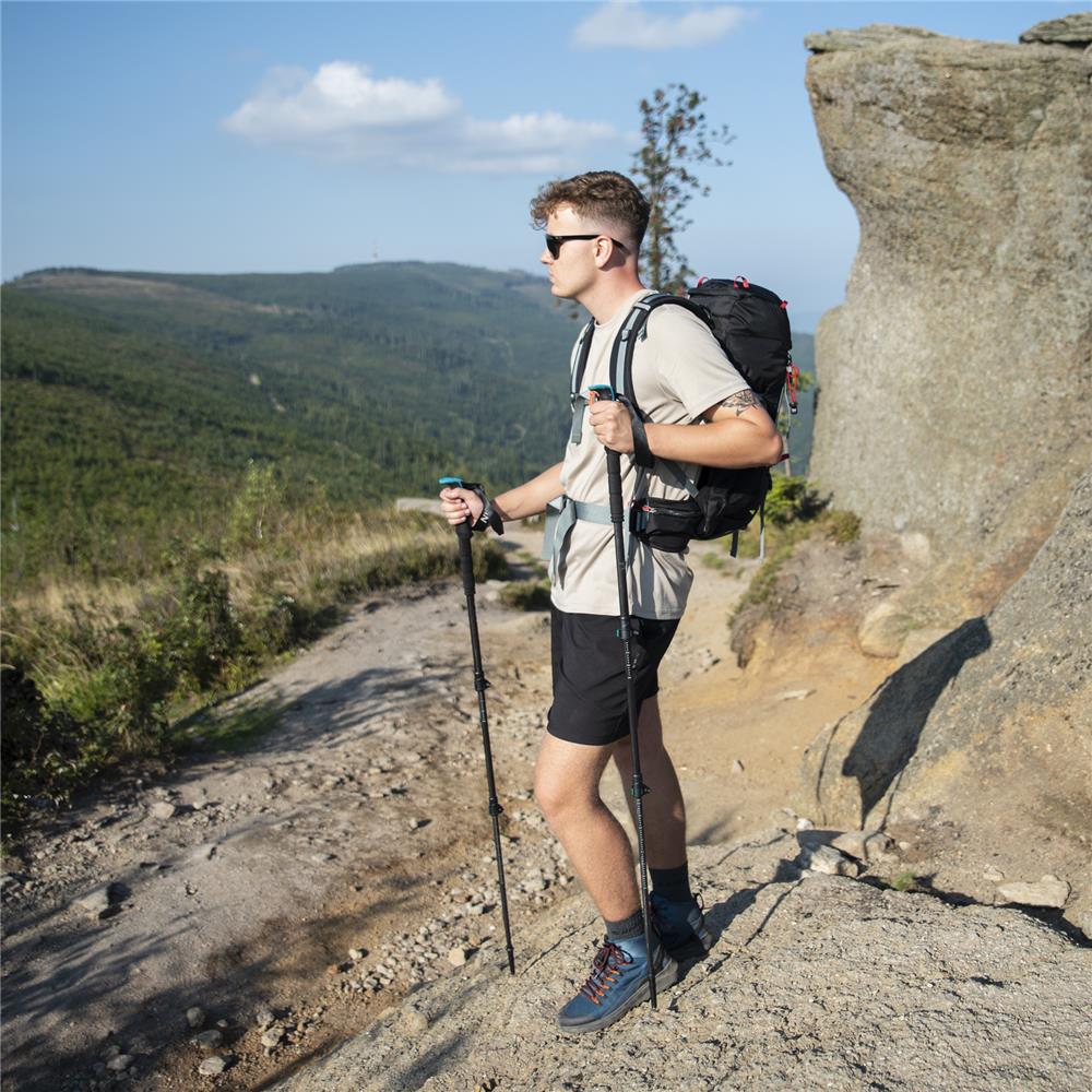 Trekkingstöcke Carbon 80% Profi Wanderstöcke | NILS TK8607