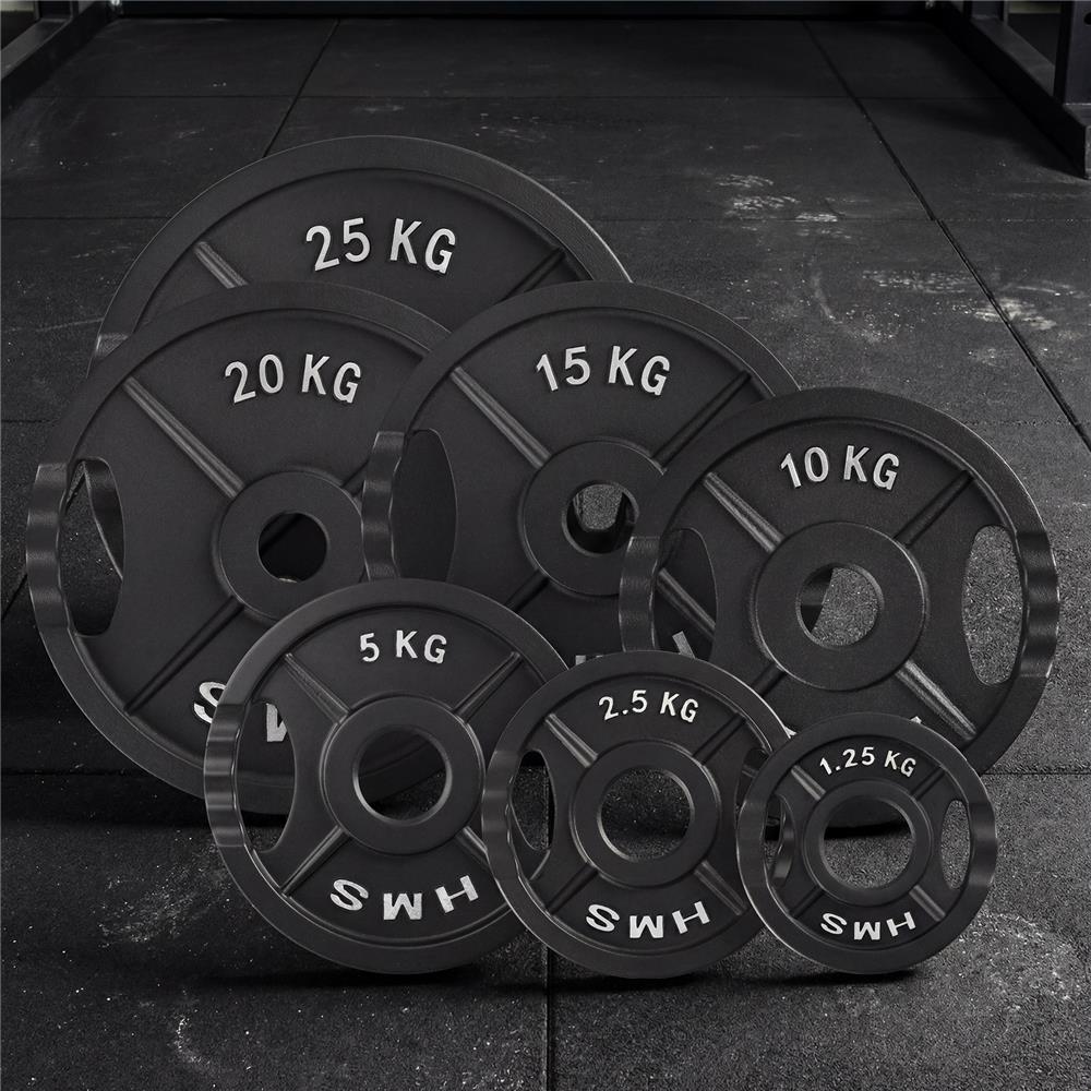 Hantelscheibe 2,5 kg Gusseisen 50 mm mit Griffen | HMS TOD02