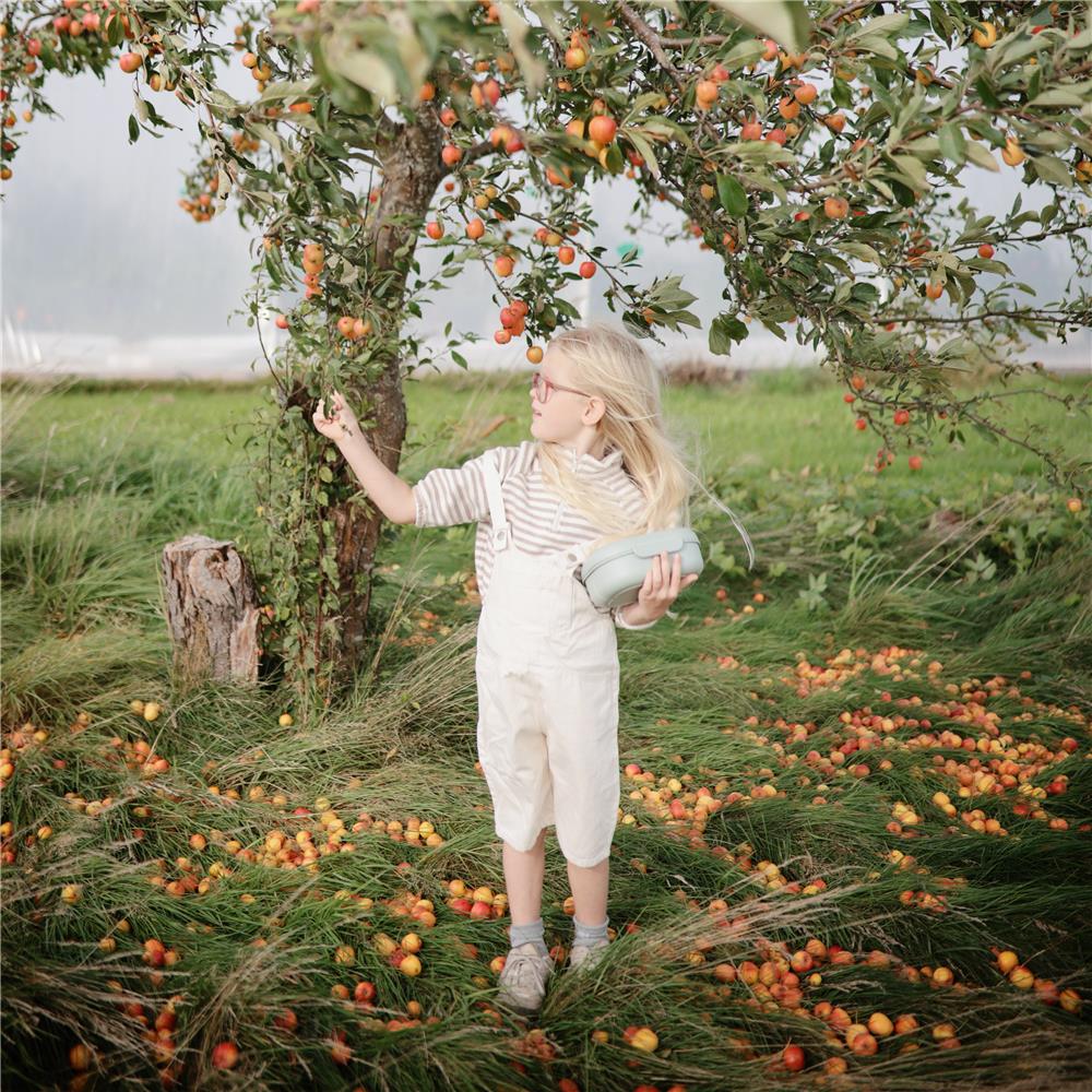 Mushie Lunchbox, Sage, Brotdose mit Löffel und Gabel, BPA-frei