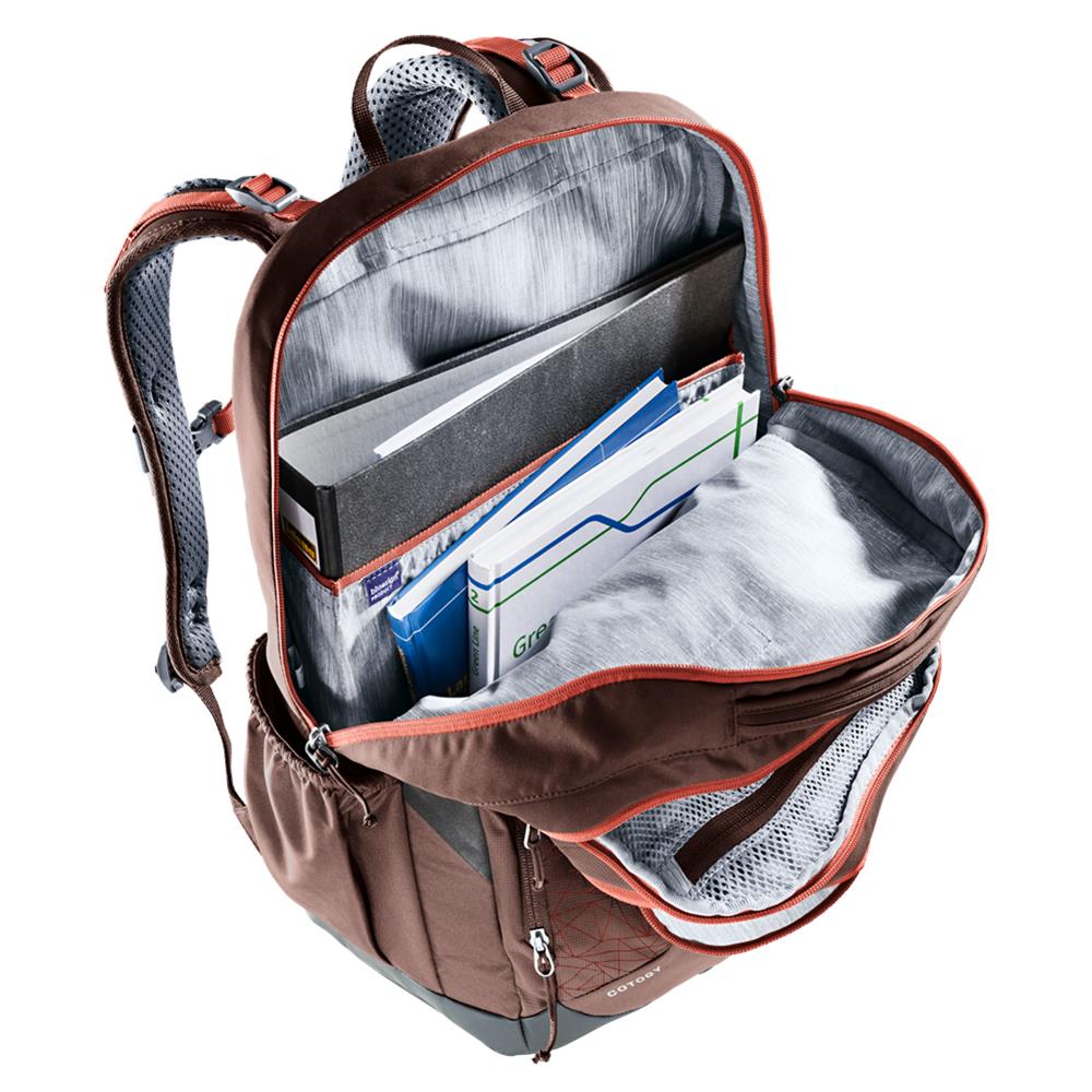 deuter Cotogy, Schulrucksack, raisin (braun), 26L, Schulranzen