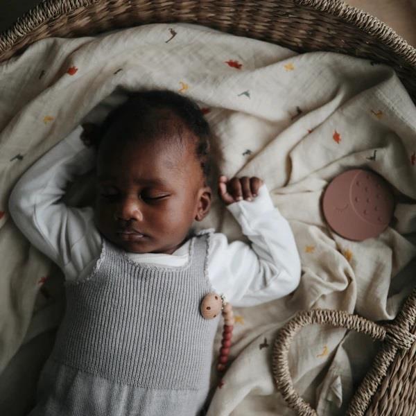 Mushie Musselin-Baby-Wickeldecke, Dinosaurs, Pucktuch aus 100% Bio-Baumwolle