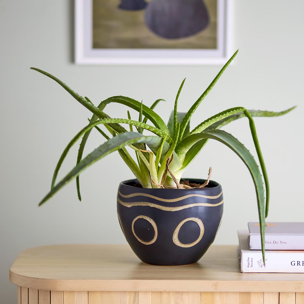 Bloomingville Magnus Blumentopf – Schwarzer Steingut-Topf im Ethno-Design, Ø18,5 cm