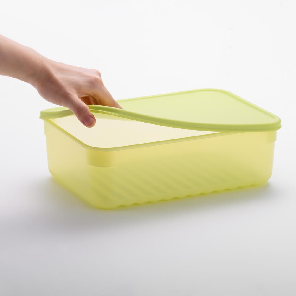 LocknLock Fresh Block Frischhaltedosen 640 ml 2er Set - Vorratsdose für Obst & Gemüse