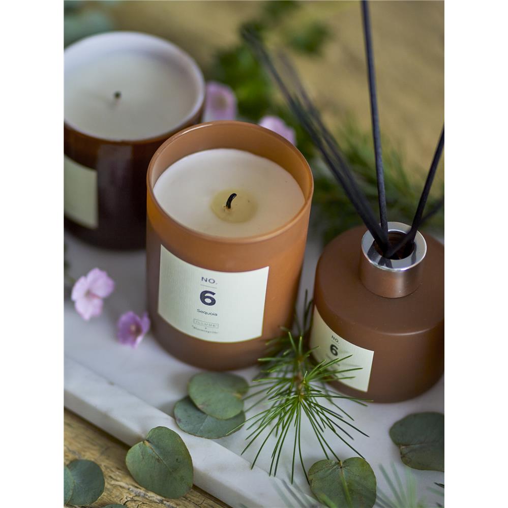 Bloomingville NO. 6 - Sequoia Scent Duftstäbchen, Braun, Duftflüssigkeit, Vanille, Sandelholz