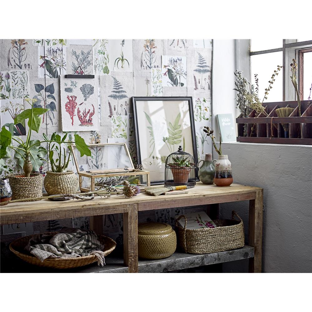 Bloomingville Chilas Bilderklemme Tannenholz Schwarz Magnetisch 19 x 8 x 2 cm Bilderhalter