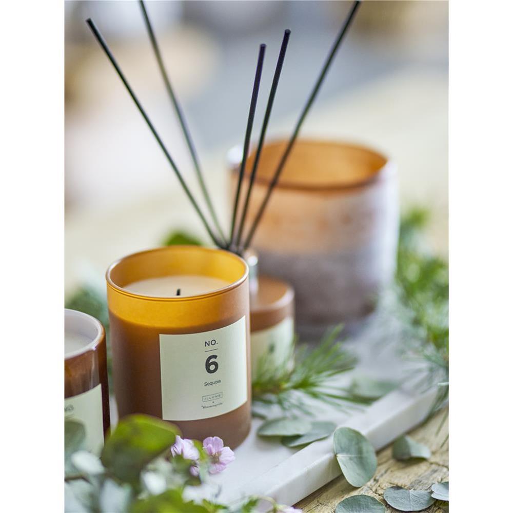 Bloomingville NO. 6 - Sequoia Duftkerze, Braun, Natürliches Wachs, 210 G. - 50 Hour - Gift box - D8xH10 cm
