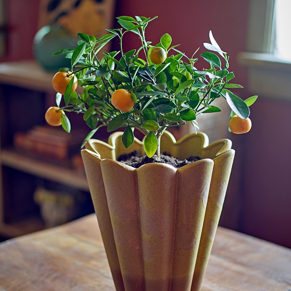 Bloomingville Penn Vase aus Steingut, Gelb – kunstvolle Vase mit gewellten Rändern