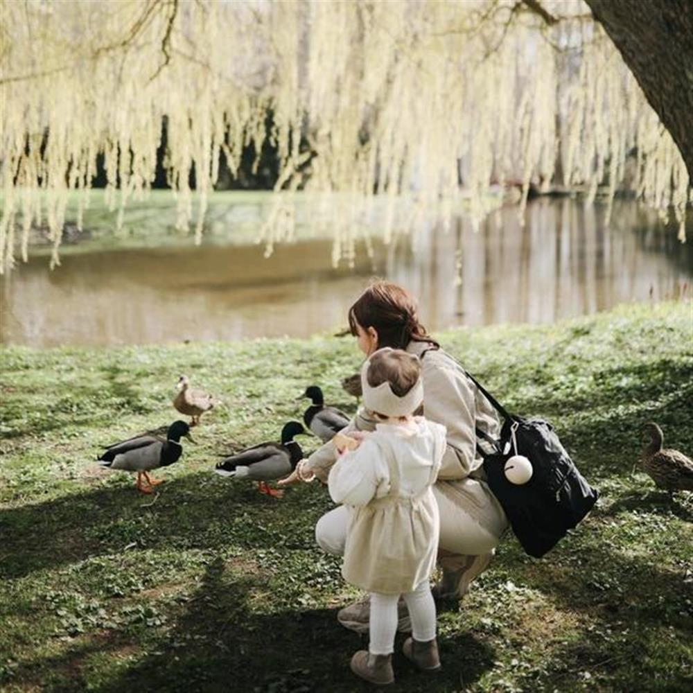 Mushie Schnulleretui, Dried Thyme, Schnullerbox aus Silikon, BPA-frei