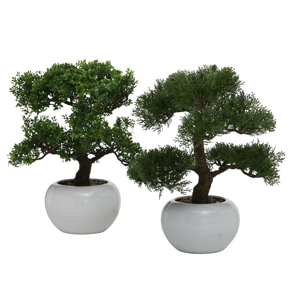 BOLTZE Topfpflanze Bonsai Kunststoff Weiß Grün | 1 Stück zufällige Auswahl