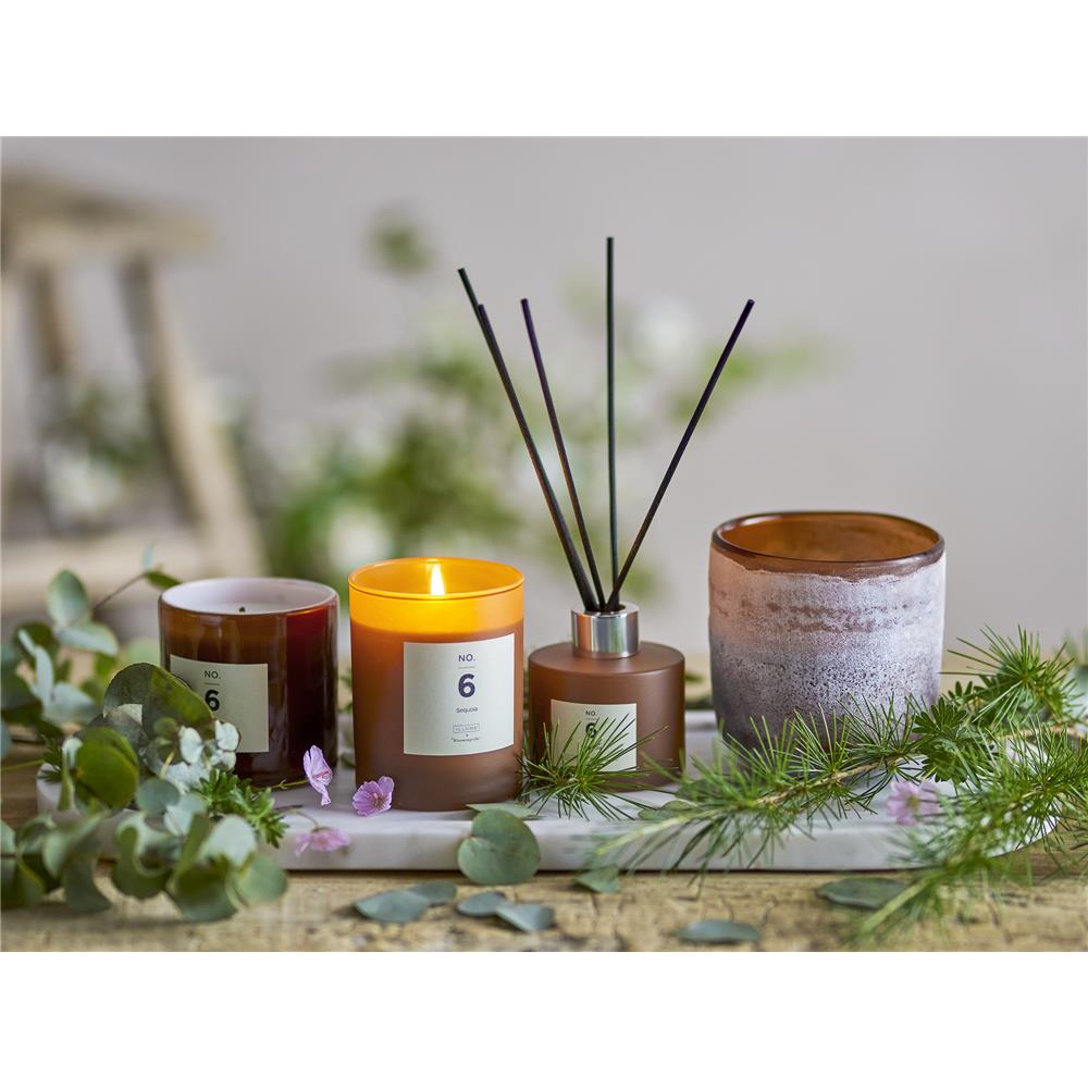 Bloomingville NO. 6 - Sequoia Duftkerze, Braun, Natürliches Wachs, 210 G. - 50 Hour - Gift box - D8xH10 cm