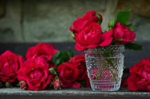 Neben einer Glasvase, in der bereits einige rote Rosen stehen, liegen noch viele weitere