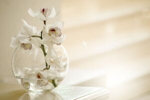 In einer Kugelvase aus Glas steckt ein Orchideenzweig mit weißen Blüten