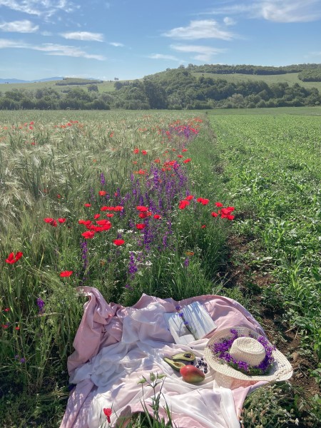 Ein Picknick auf einer hohen Blumenwiese