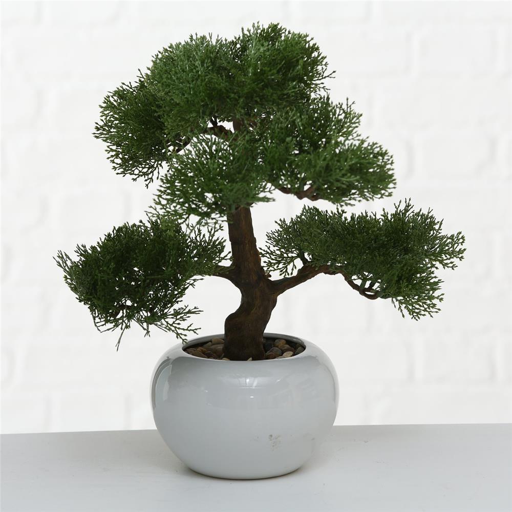 BOLTZE Topfpflanze Bonsai Kunststoff Weiß Grün | 1 Stück zufällige Auswahl