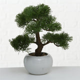 BOLTZE Topfpflanze Bonsai Kunststoff Weiß Grün | 1 Stück zufällige Auswahl