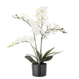 Bloomingville Orchid Kunstpflanze Weiß 84 cm mit Topf