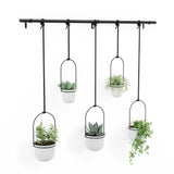 Umbra Triflora 5 Hängeblumentopf Weiß Stahl Blumenampel Wandvase
