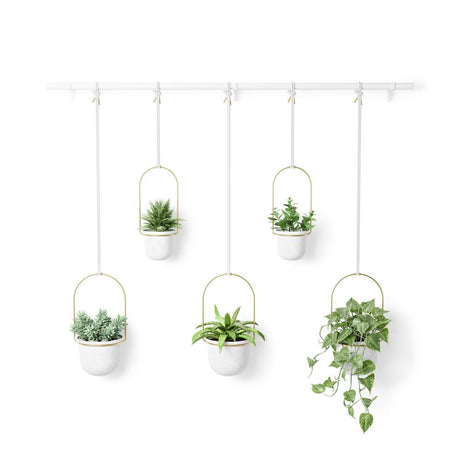 Umbra Triflora Vase in Weiß/Messing, 5er-Hängeblumentopf für Wand- und Deckenmontage
