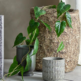 Bloomingville Anthurium Kunstpflanze Grün Höhe 117cm