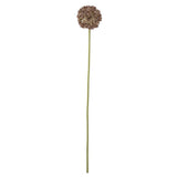 Bloomingville Allium Kunstblume Stiel Braun 9x70cm
