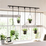 Umbra Triflora Vase in Schwarz, 5er-Hängeblumentopf für Wand- und Deckenmontage