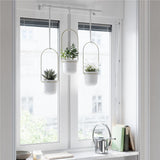 Umbra Triflora Vase Hängeblumentopf Wandvase Blumenampel für Wand und Decke 3er-Set Weiß/Messing