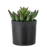 Bloomingville Echeveria Kunstpflanze Grün Kunststoff 24cm