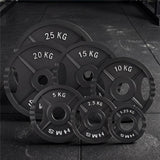 Hantelscheibe 2,5 kg Gusseisen 50 mm mit Griffen | HMS TOD02