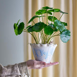 Bloomingville Bertha Blumentopf – Steingut in Blau-Beige mit gewelltem Rand, Ø14 cm