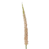 Bloomingville Foxtail Kunstblume Stiel Rose 73cm