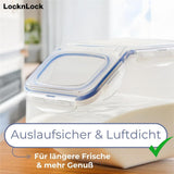 LocknLock PP Classic Küchen-Caddy 5 L mit Klappdeckel, BPA-frei
