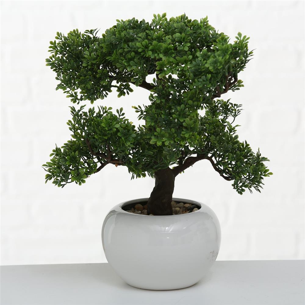 BOLTZE Topfpflanze Bonsai Kunststoff Weiß Grün | 1 Stück zufällige Auswahl