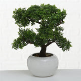 BOLTZE Topfpflanze Bonsai Kunststoff Weiß Grün | 1 Stück zufällige Auswahl