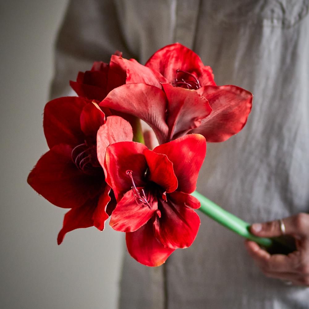 Bloomingville Amaryllis Kunstblume rot Dekoblume Blumenstiel künstliche Blumendeko für Vase