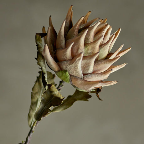 Bloomingville Protea Kunstblume Natur Stiel 76cm Dekoblume