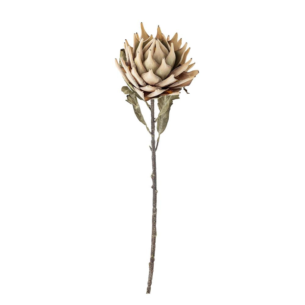 Bloomingville Protea Kunstblume Natur Stiel 76cm Dekoblume