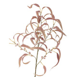 Bloomingville Eucalyptus Kunstblume Stiel Rot 100cm