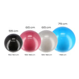 Gymnastikball 65 cm Pflaume mit Luftpumpe für Pilates und Fitness | HMS YB01N