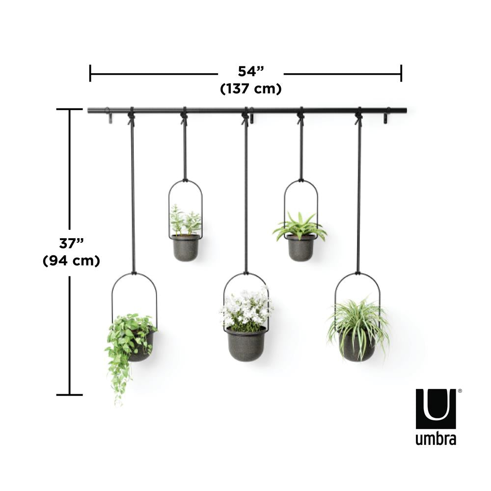 Umbra Triflora Vase in Schwarz, 5er-Hängeblumentopf für Wand- und Deckenmontage