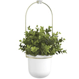 Umbra Triflora Vase Hängeblumentopf Wandvase Blumenampel für Wand und Decke 3er-Set Weiß/Messing