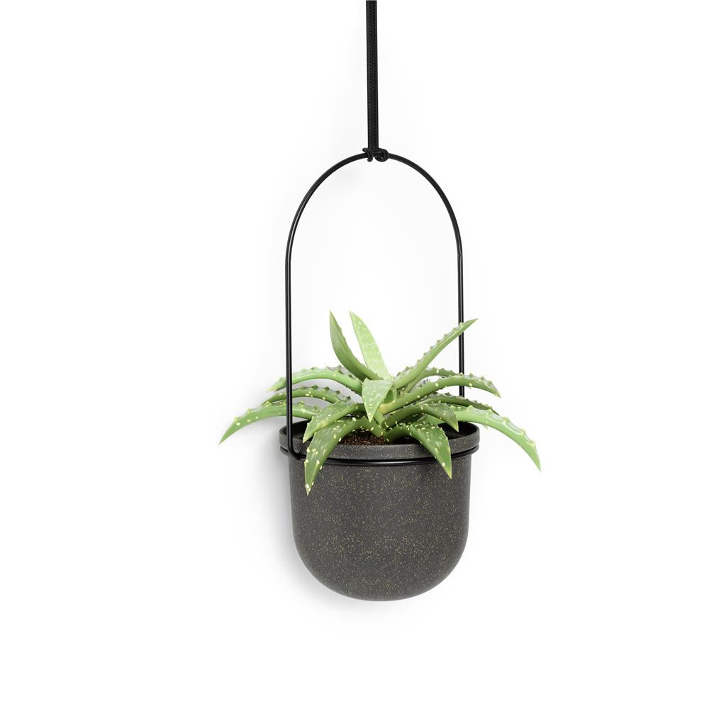 Umbra Triflora Vase in Schwarz, 5er-Hängeblumentopf für Wand- und Deckenmontage