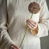 Bloomingville Allium Kunstblume Stiel Braun 9x70cm