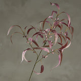 Bloomingville Eucalyptus Kunstblume Stiel Rot 100cm