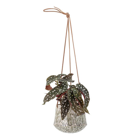 Bloomingville Ilda Blumentopf hängend Grün 14 x 60 x 12 cm Steingut Hängepflanze Pflanztopf