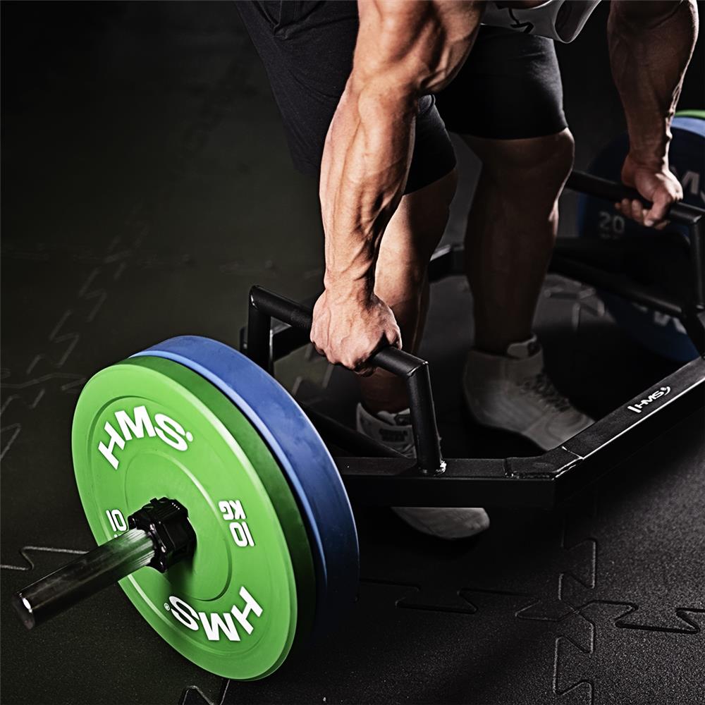 Hantelscheibe 5 kg Gummiert 50 mm Bumper Plate, 2 Stück | HMS CBR05