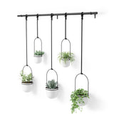Umbra Triflora 5 Hängeblumentopf Weiß Stahl Blumenampel Wandvase